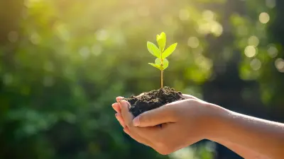 mains tenant une jeune plante