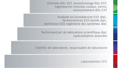 Opportunités de Développement