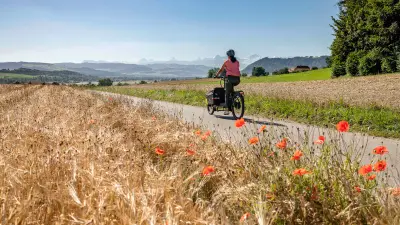 Un service de livraison à domicile apporte les achats à domicile